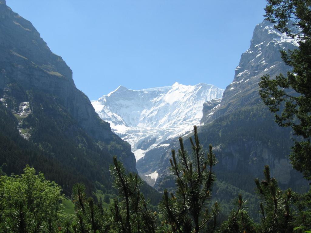 Ferienwohnungen Chalet Hohturnen グリンデルヴァルト エクステリア 写真